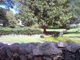 7 Magnolia Boulevard