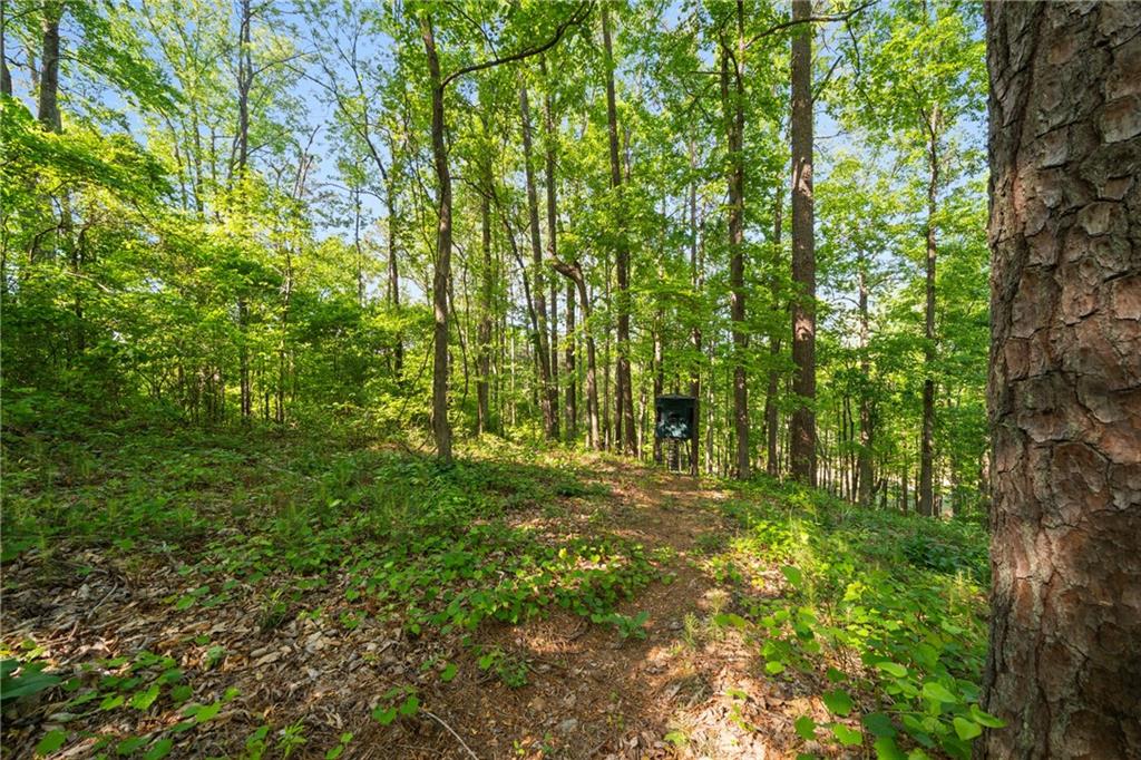 311 Woodland Brook Drive