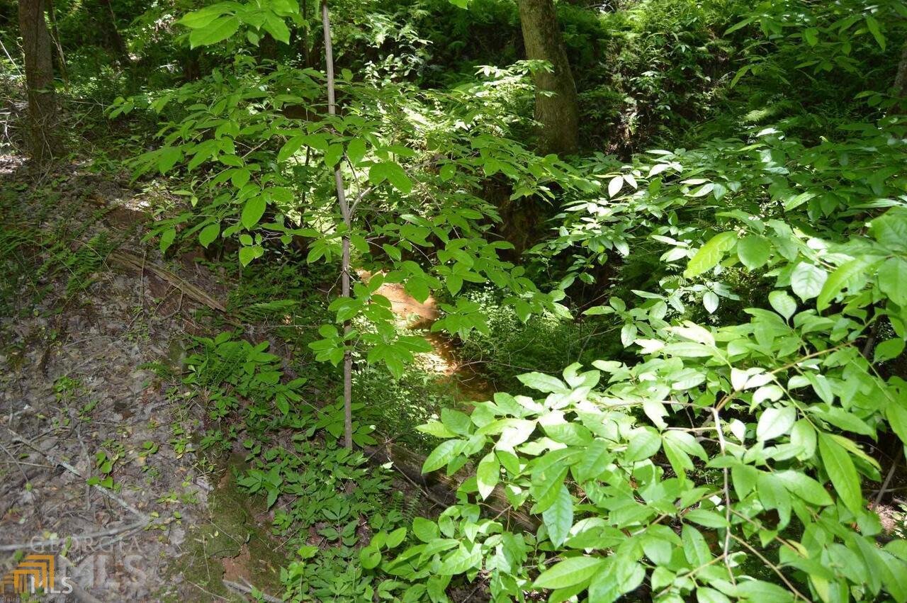 19 Sharp Mountain Parkway