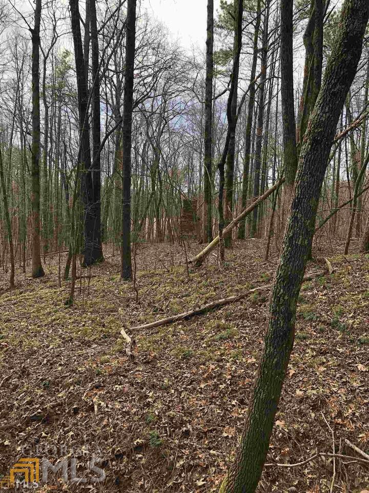 19 Sharp Mountain Parkway