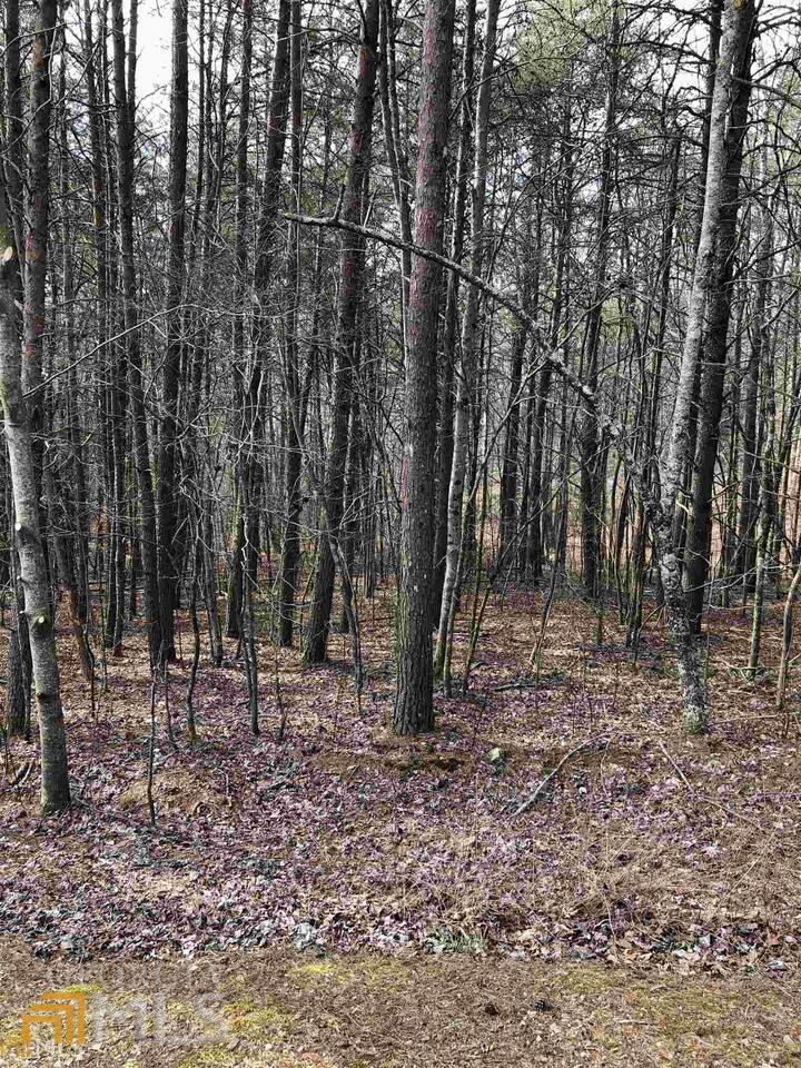 19 Sharp Mountain Parkway