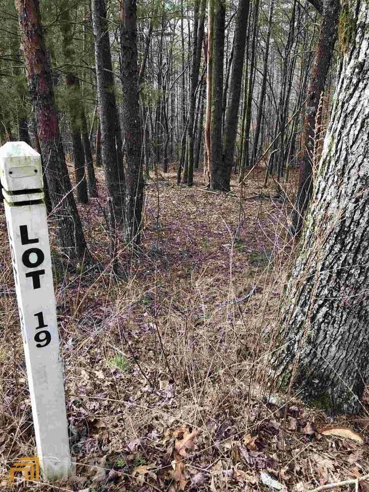 19 Sharp Mountain Parkway