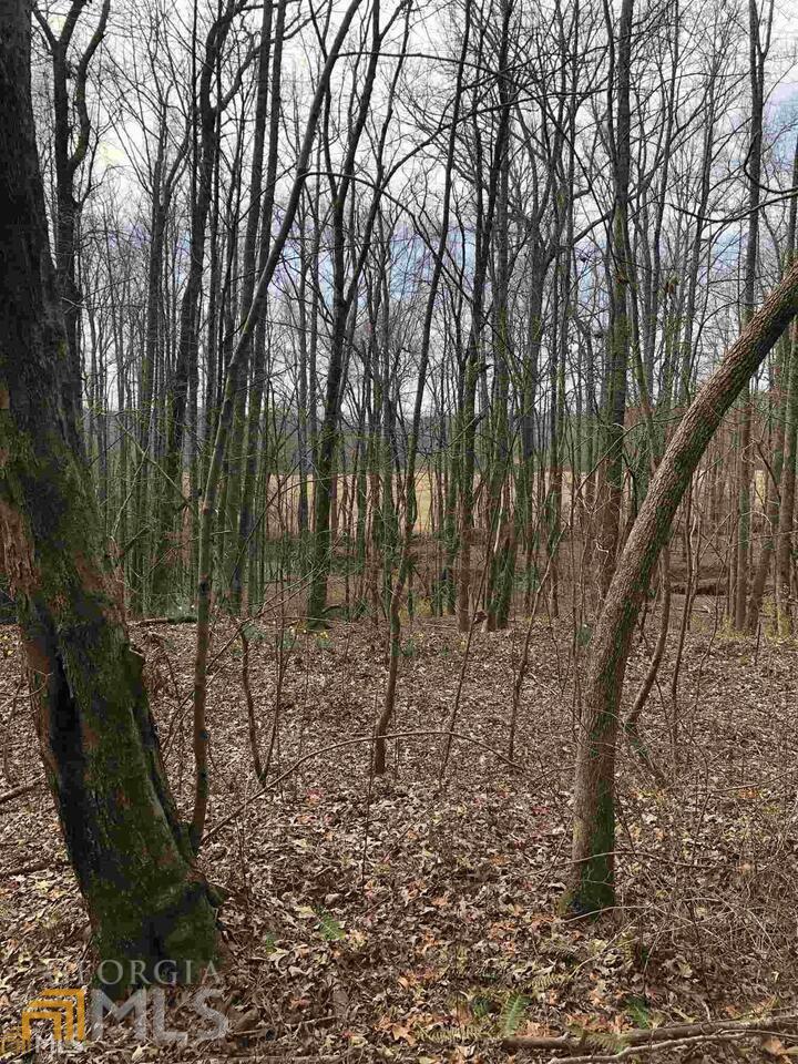 19 Sharp Mountain Parkway