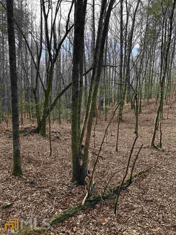 19 Sharp Mountain Parkway