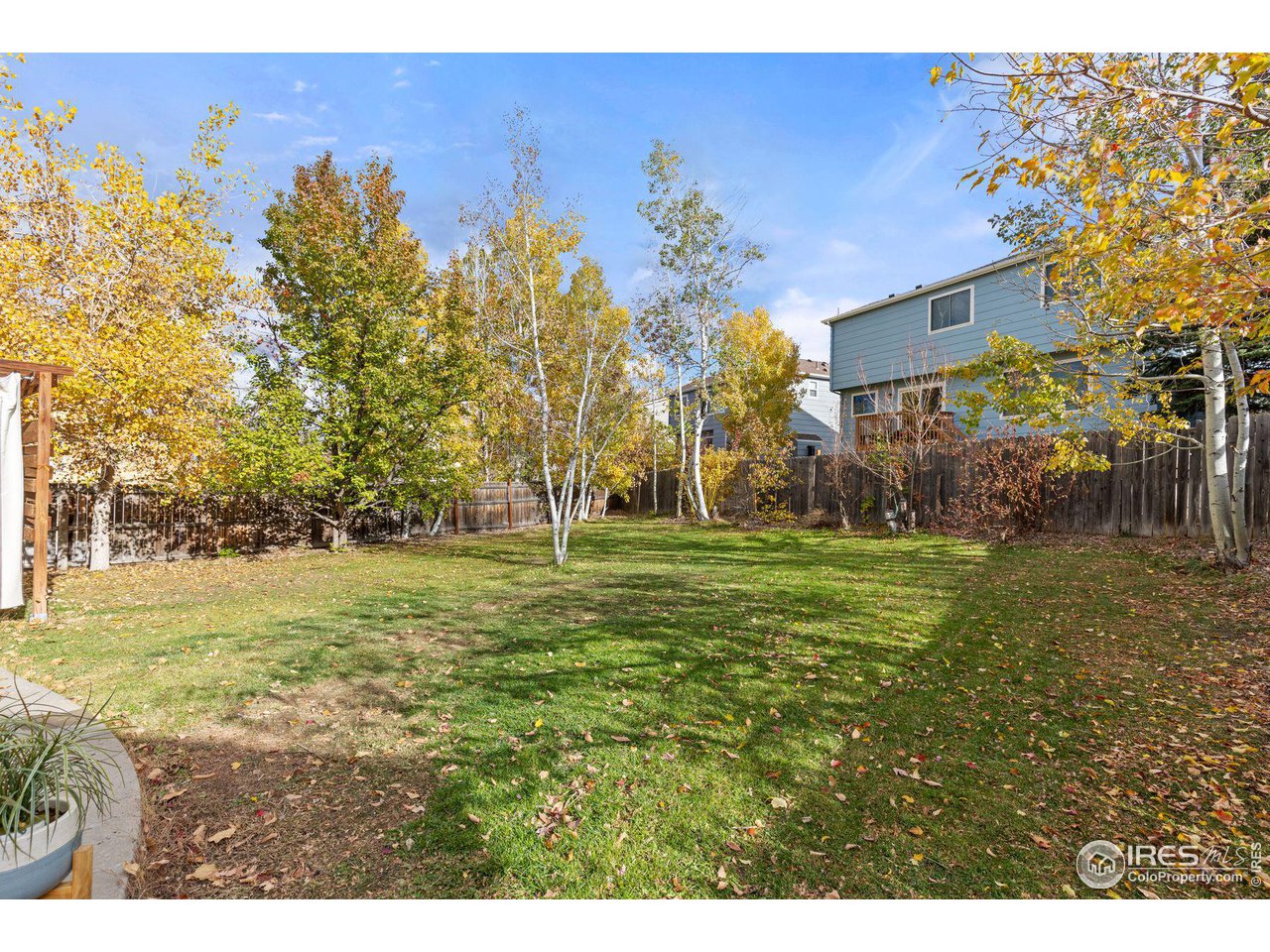 3034 Canna Pl