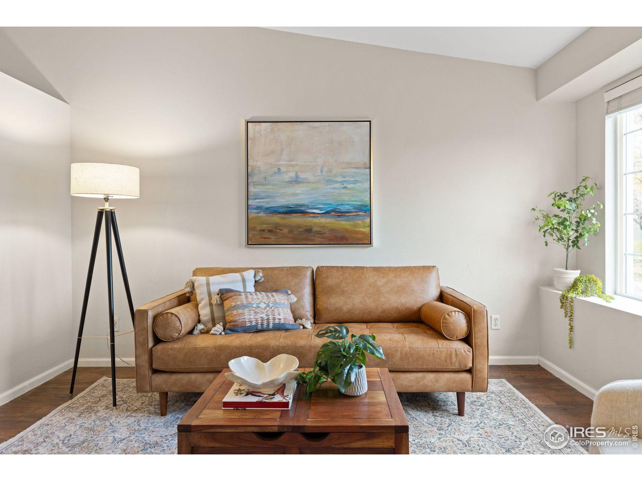 3034 Canna Pl