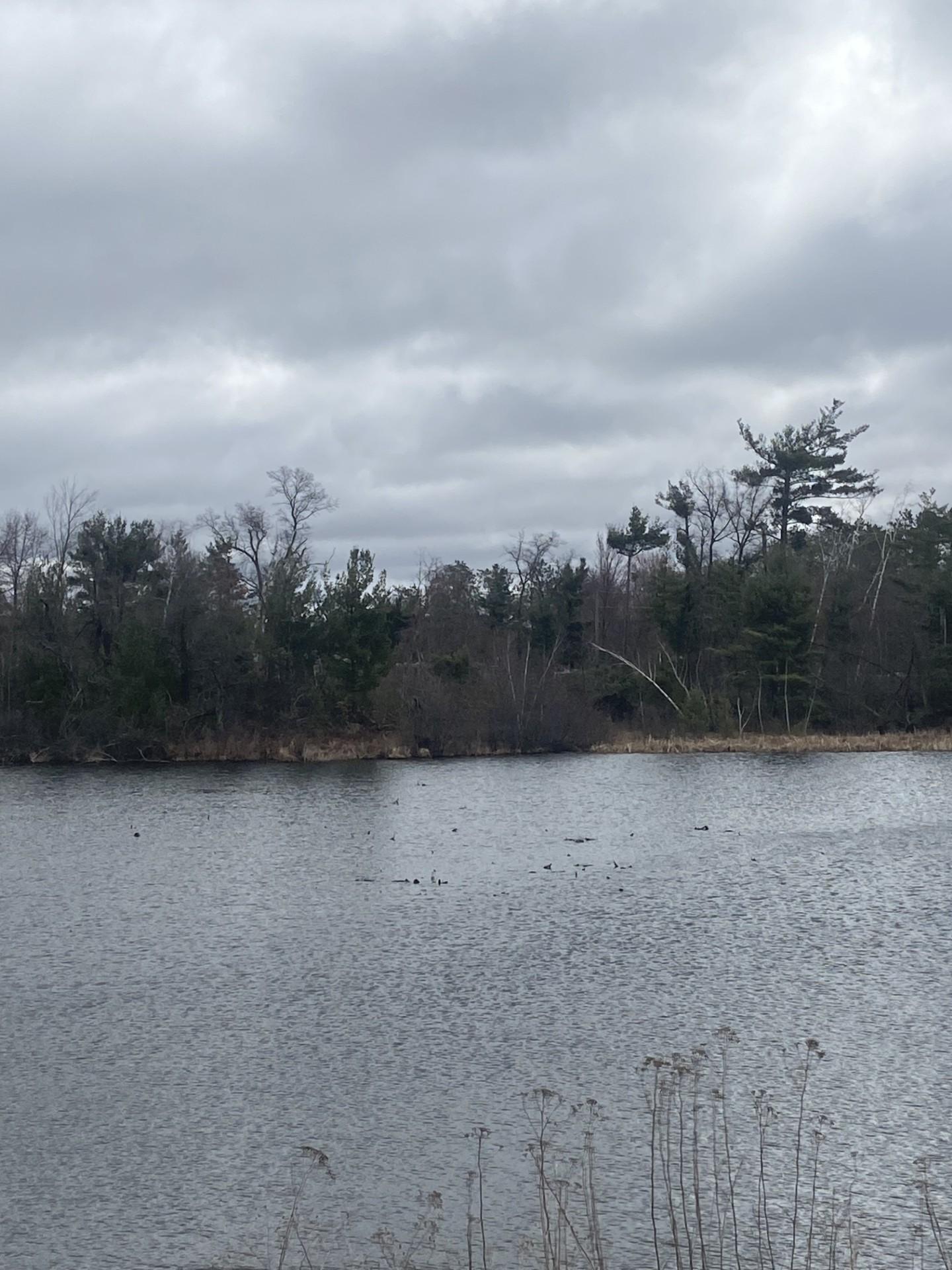 Lot 1 10-7/8 Avenue