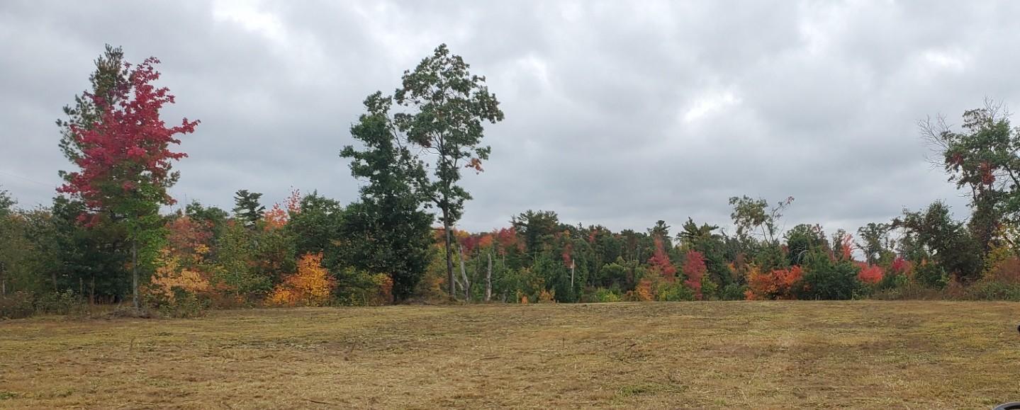 Lot 1 10-7/8 Avenue