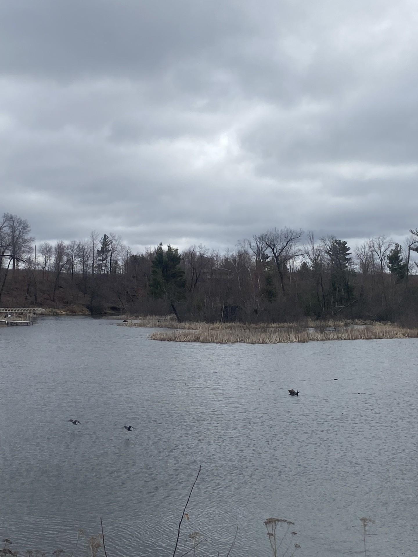 Lot 1 10-7/8 Avenue