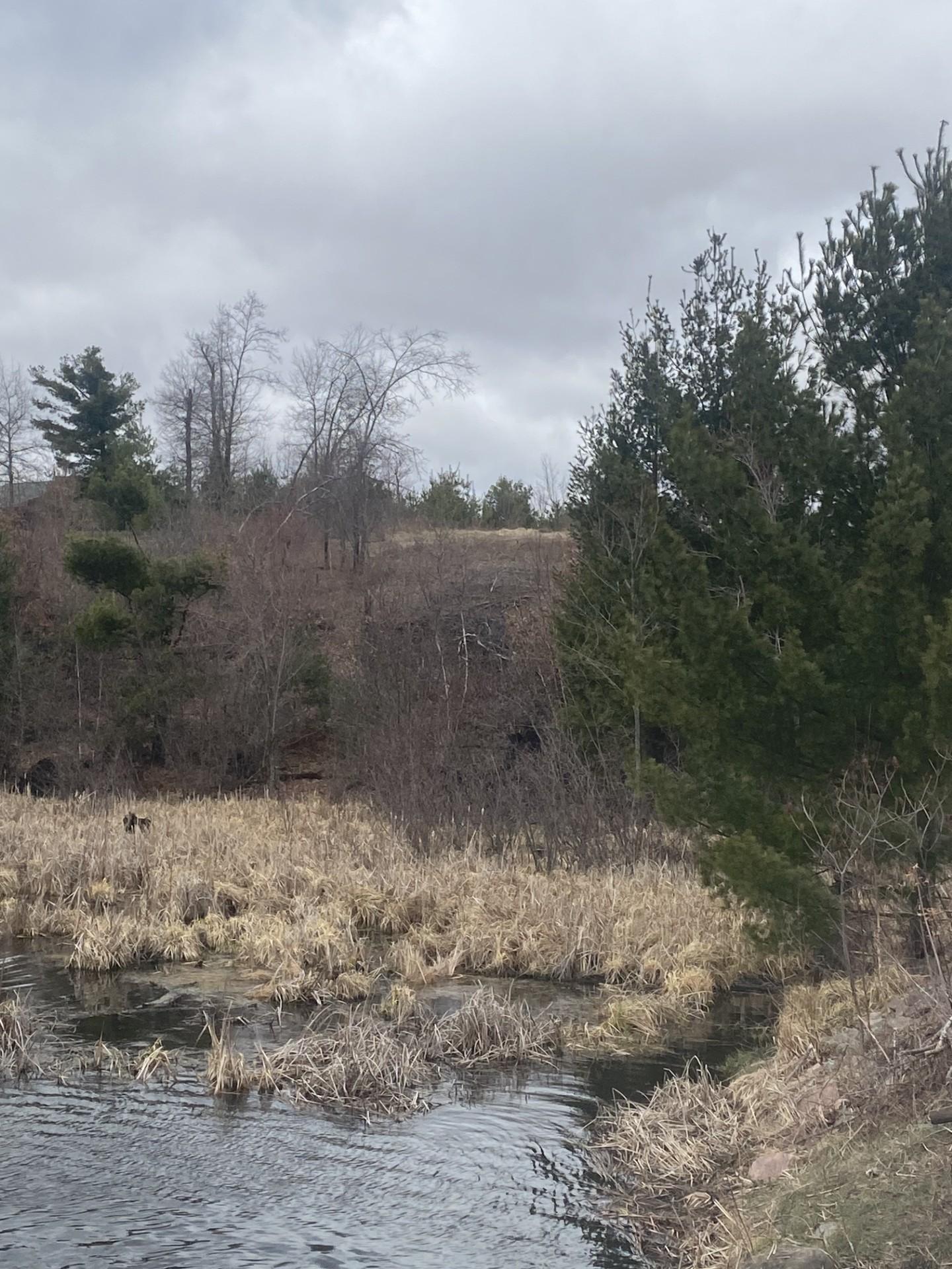Lot 1 10-7/8 Avenue