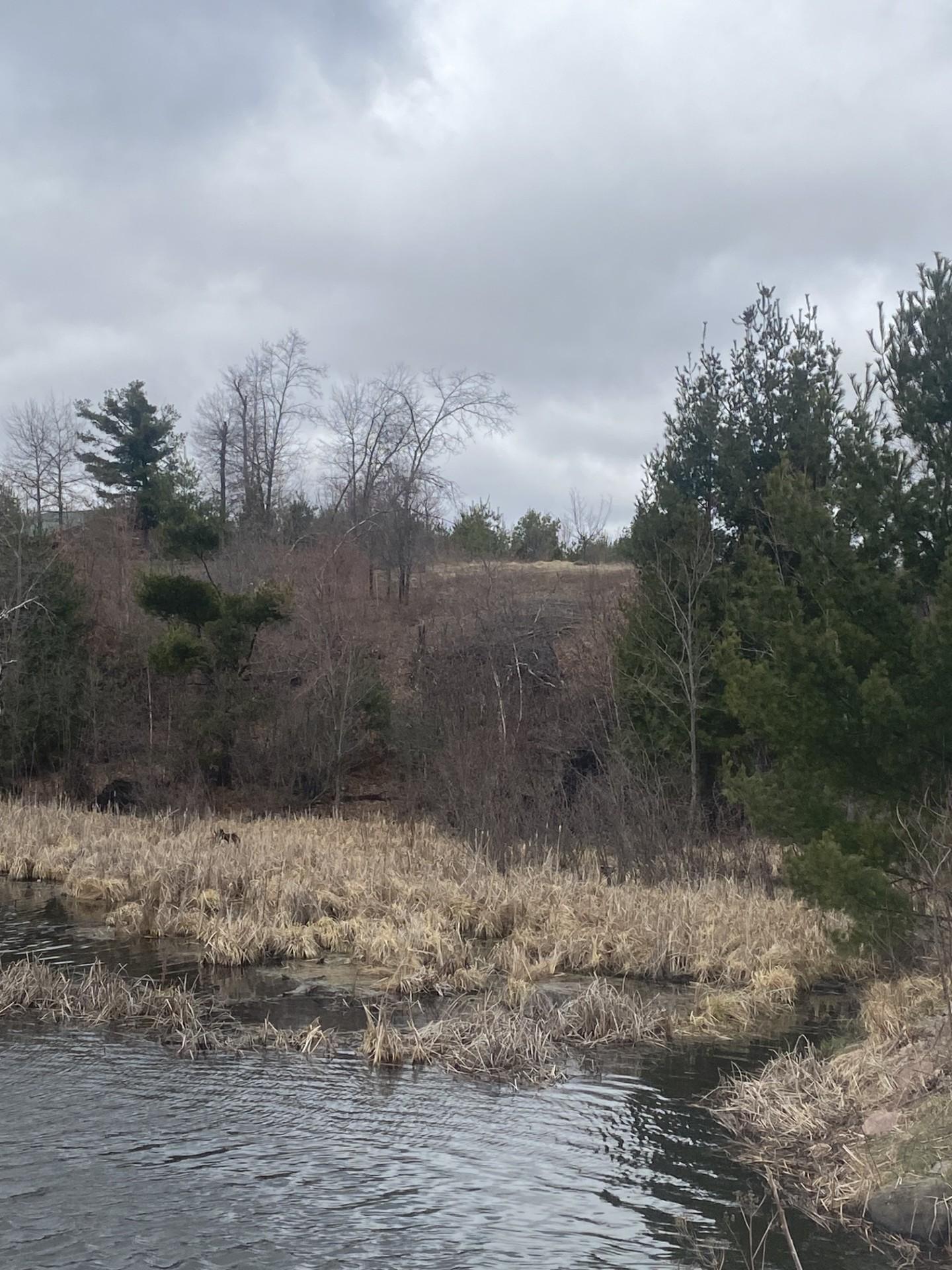 Lot 1 10-7/8 Avenue