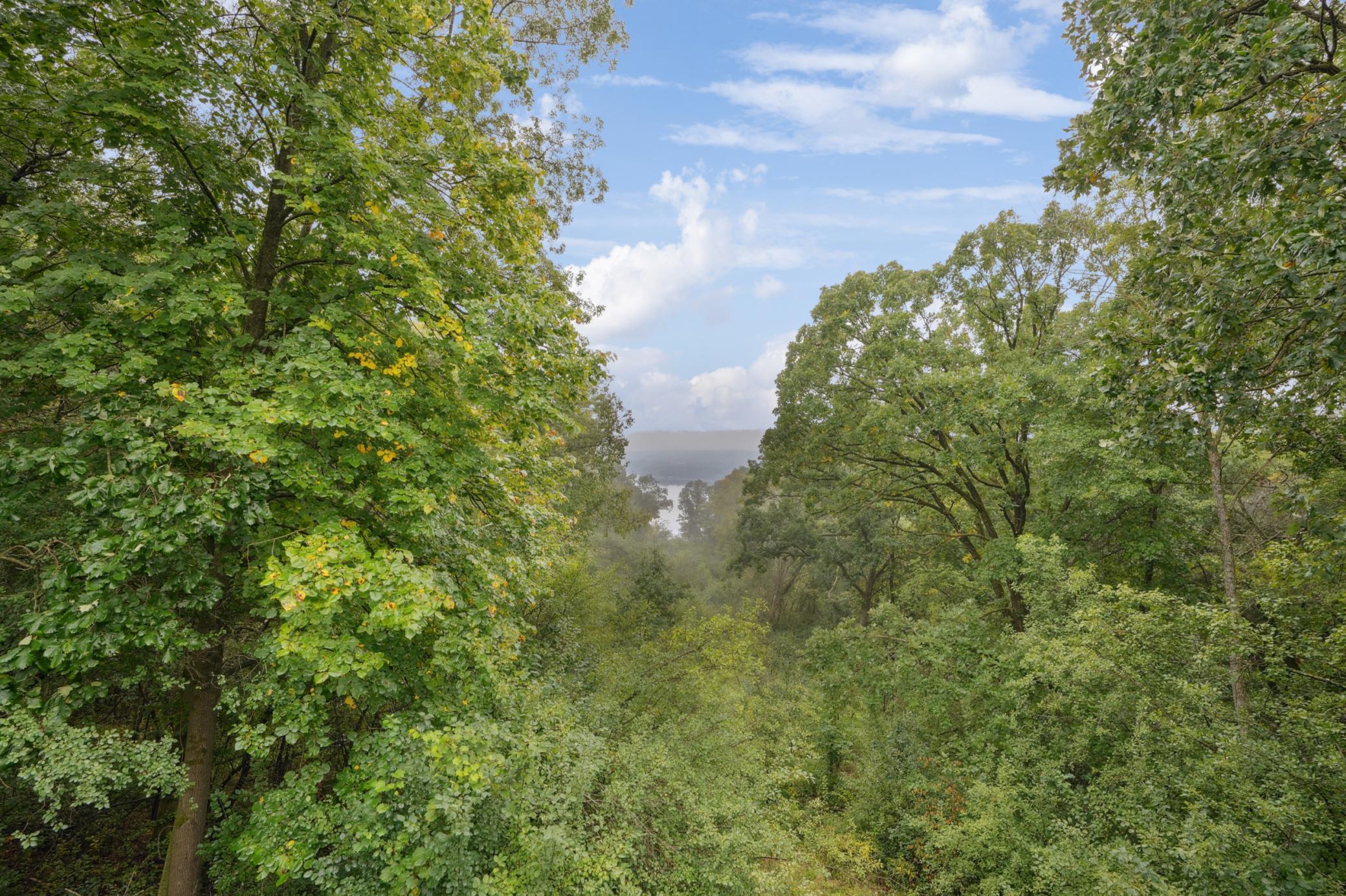 227 Rivercrest Drive