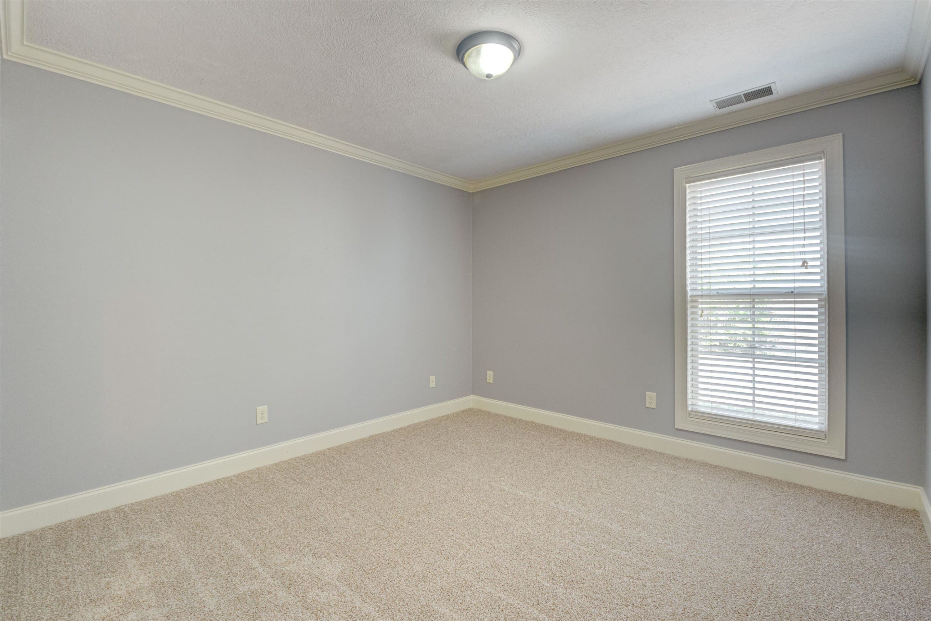 49 Woodshire Cove