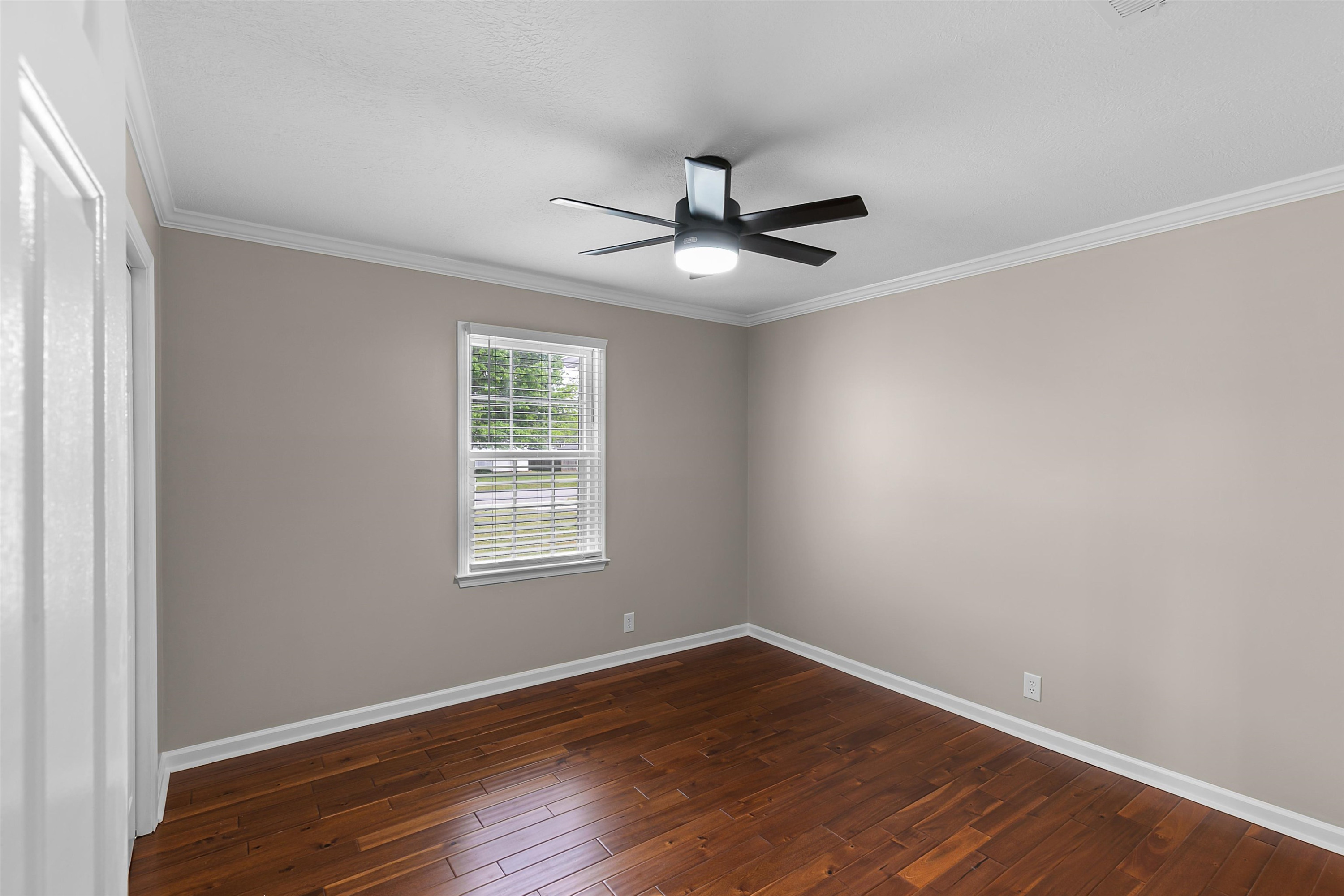 11 Dreamland Place