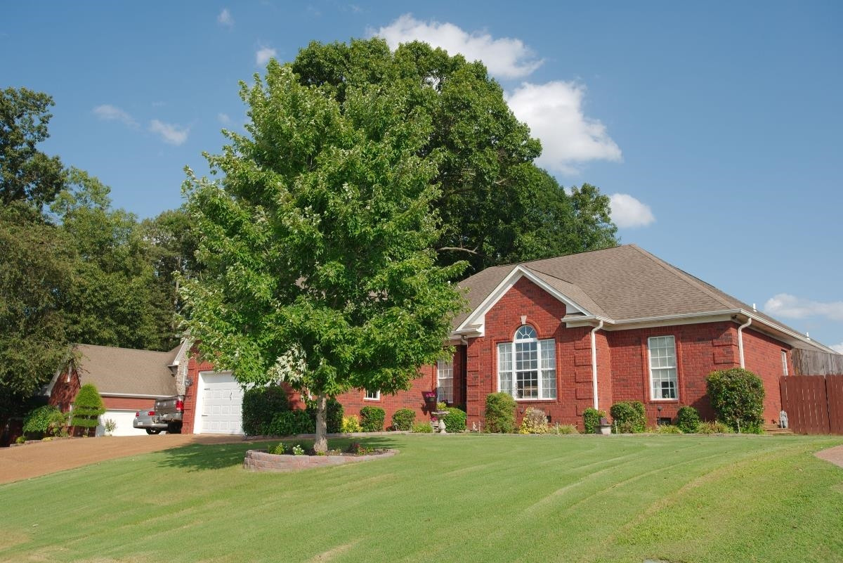 58 Arbor Oaks
