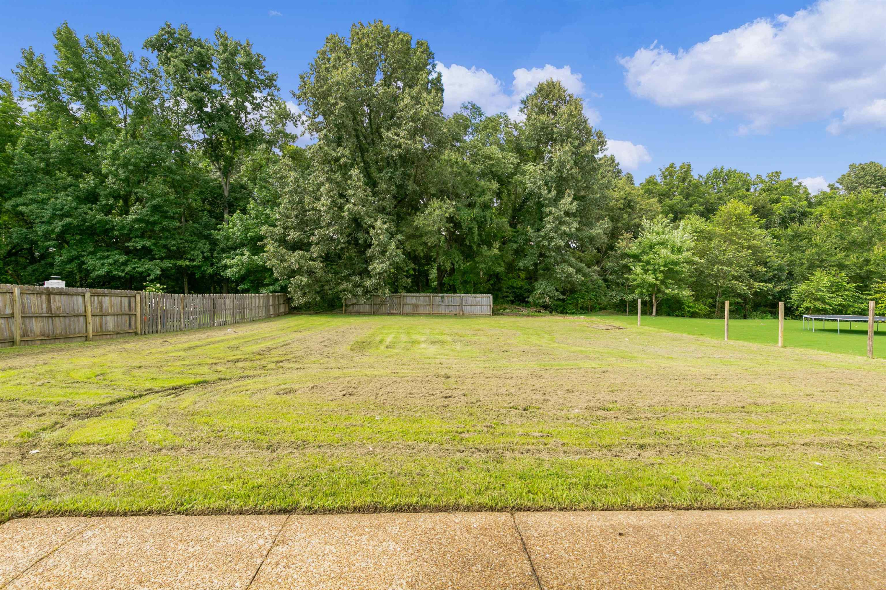 229 Shadow Creek Lane