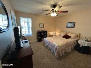 197 Willow Branch Drive