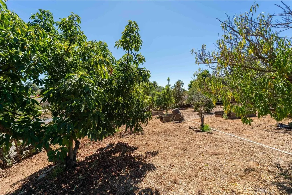 520 Woodland Hills Drive