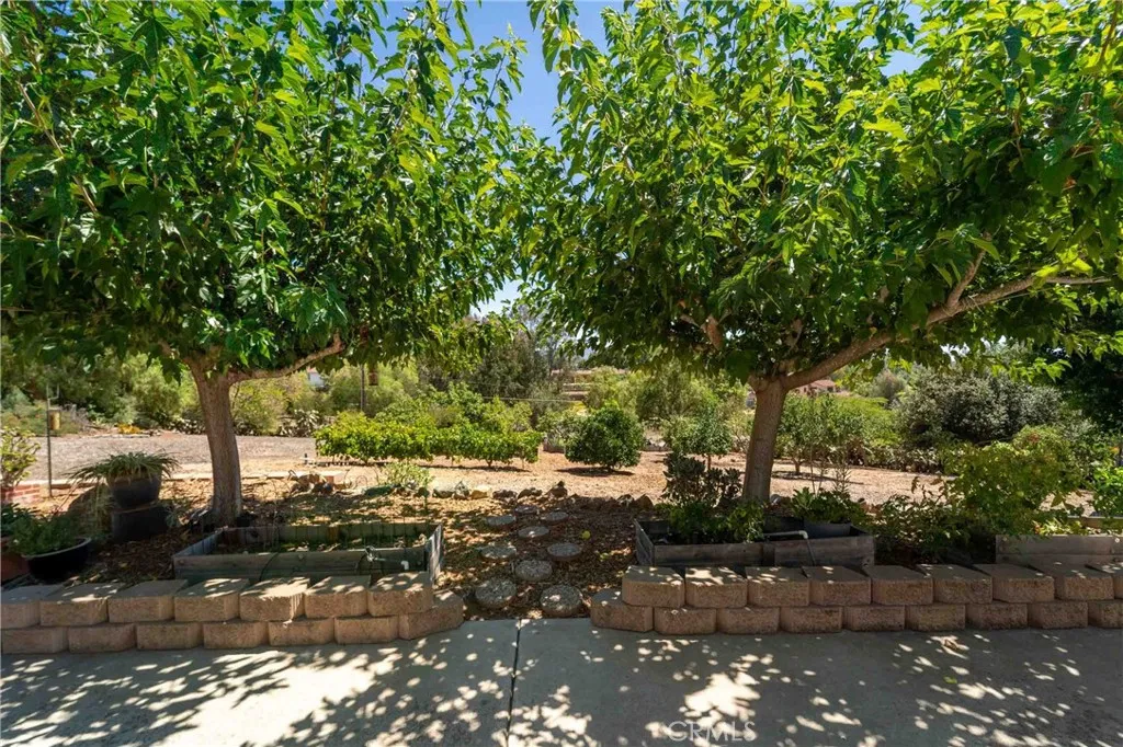 520 Woodland Hills Drive