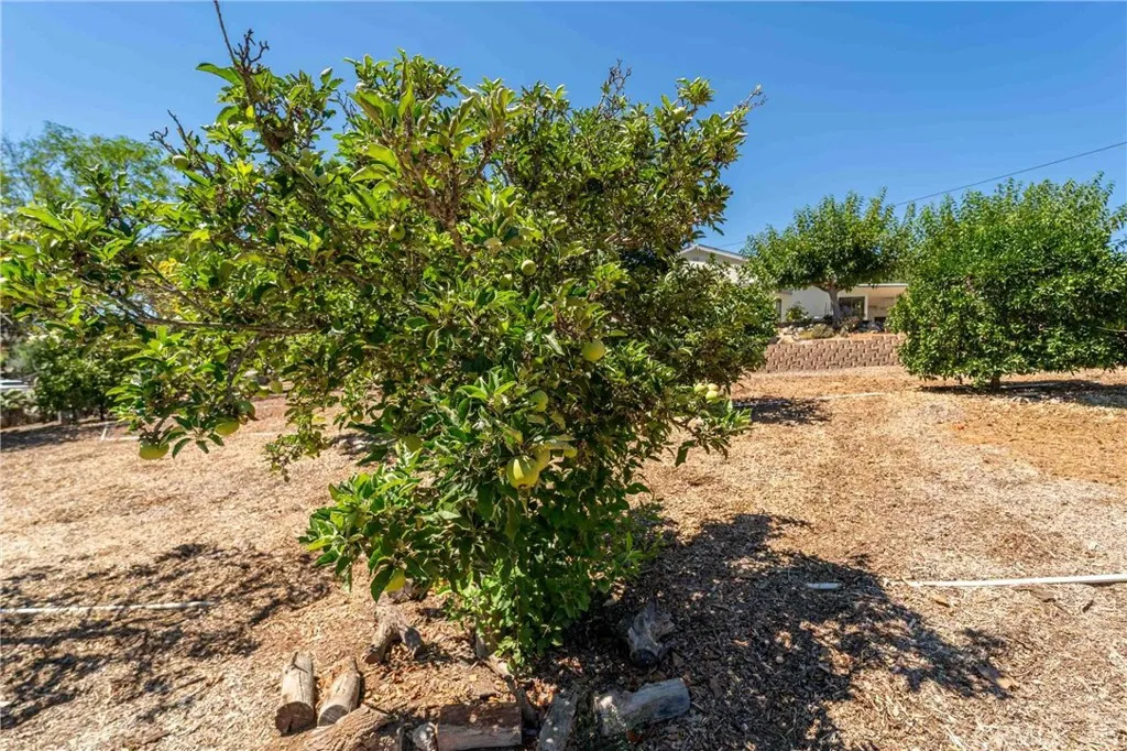 520 Woodland Hills Drive