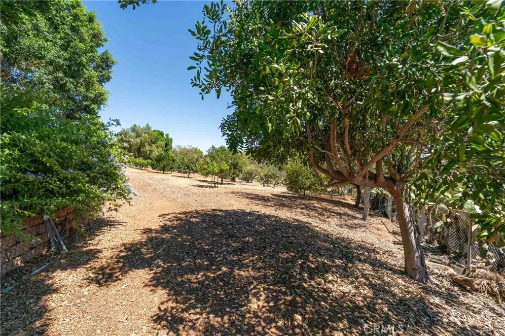 520 Woodland Hills Drive