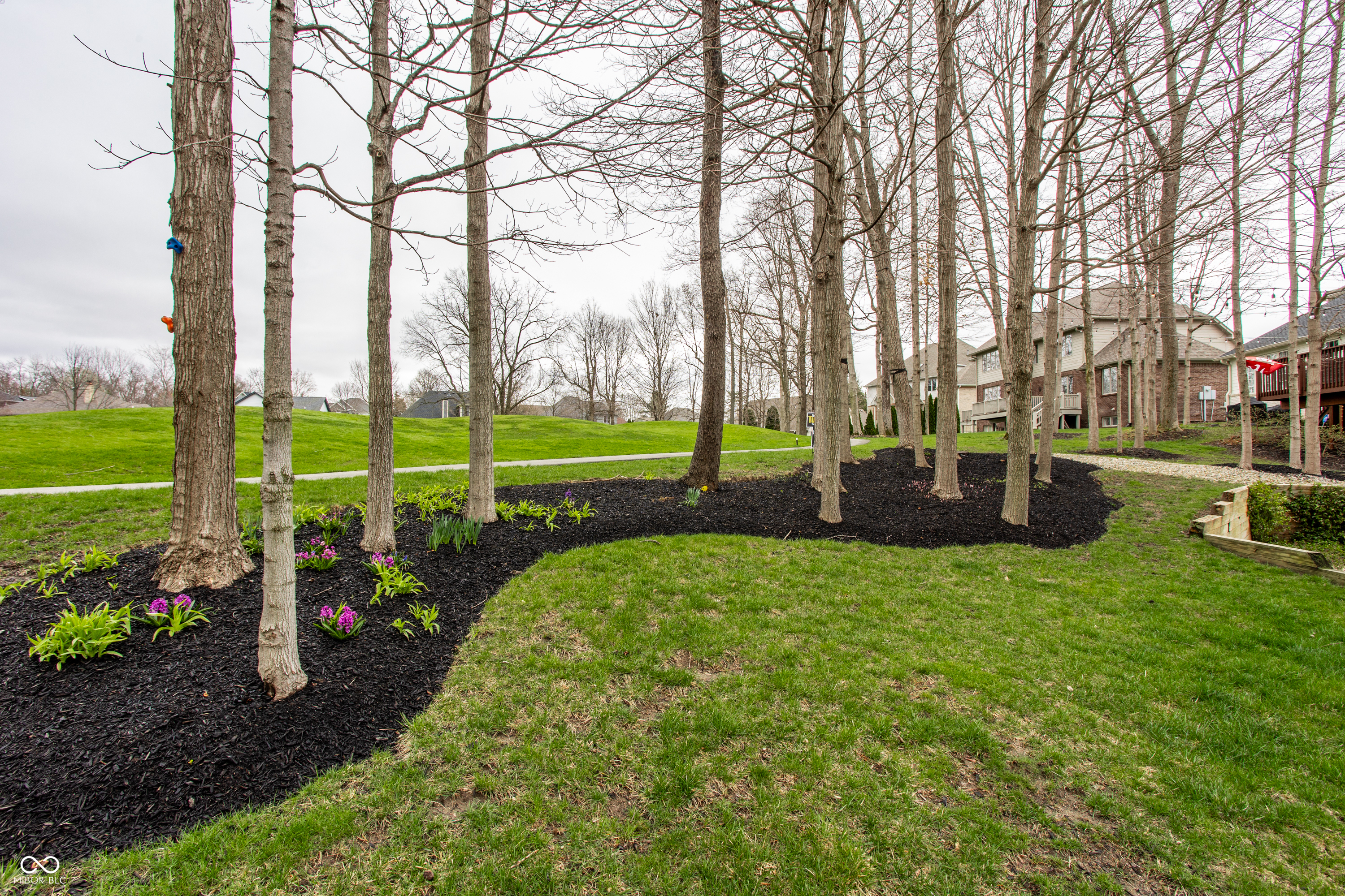 6535 Royal Oakland Place