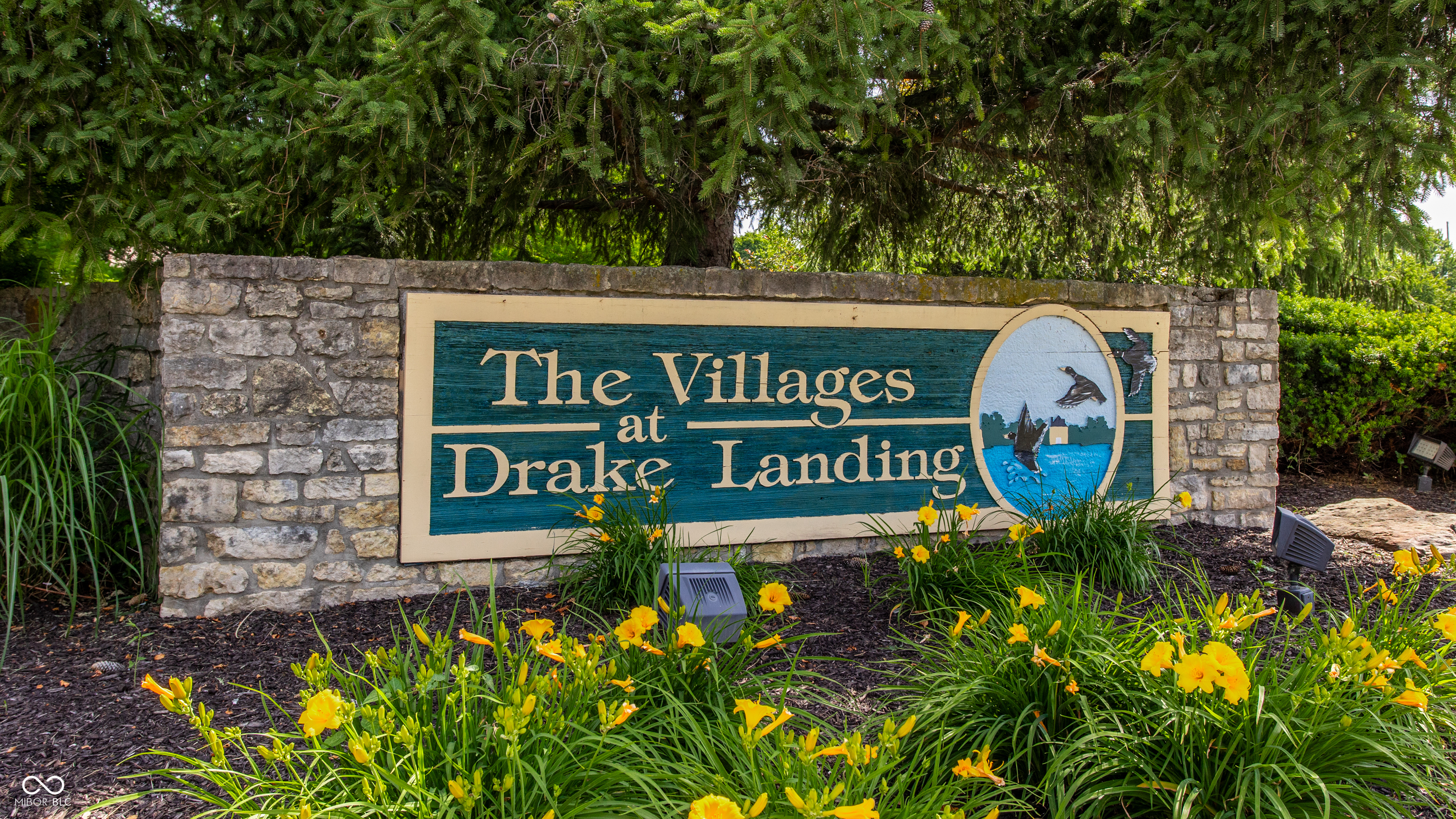 2454 Ring Necked Drive
