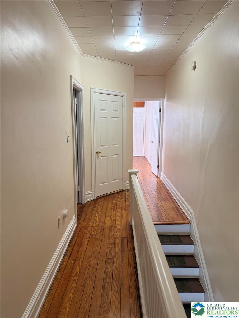 538 Ridge Avenue