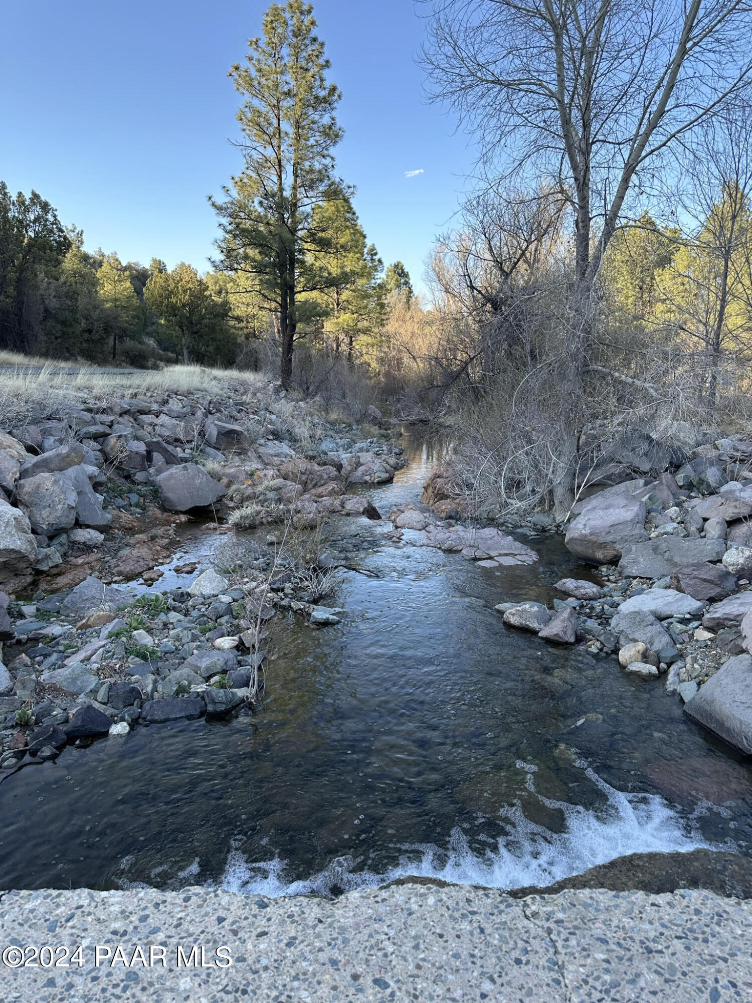 81 S Lynx Creek Road