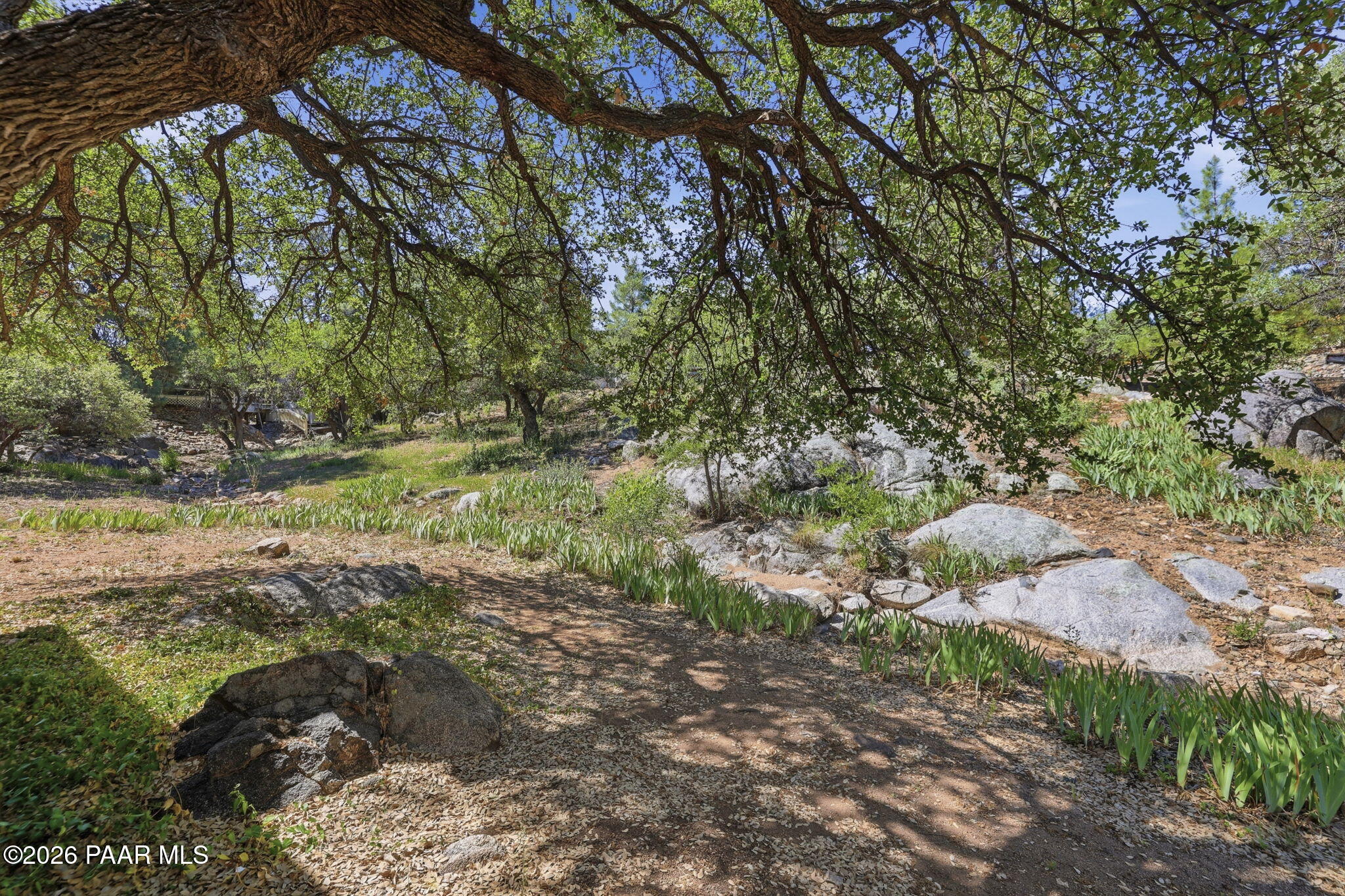 856 Wildflower Drive