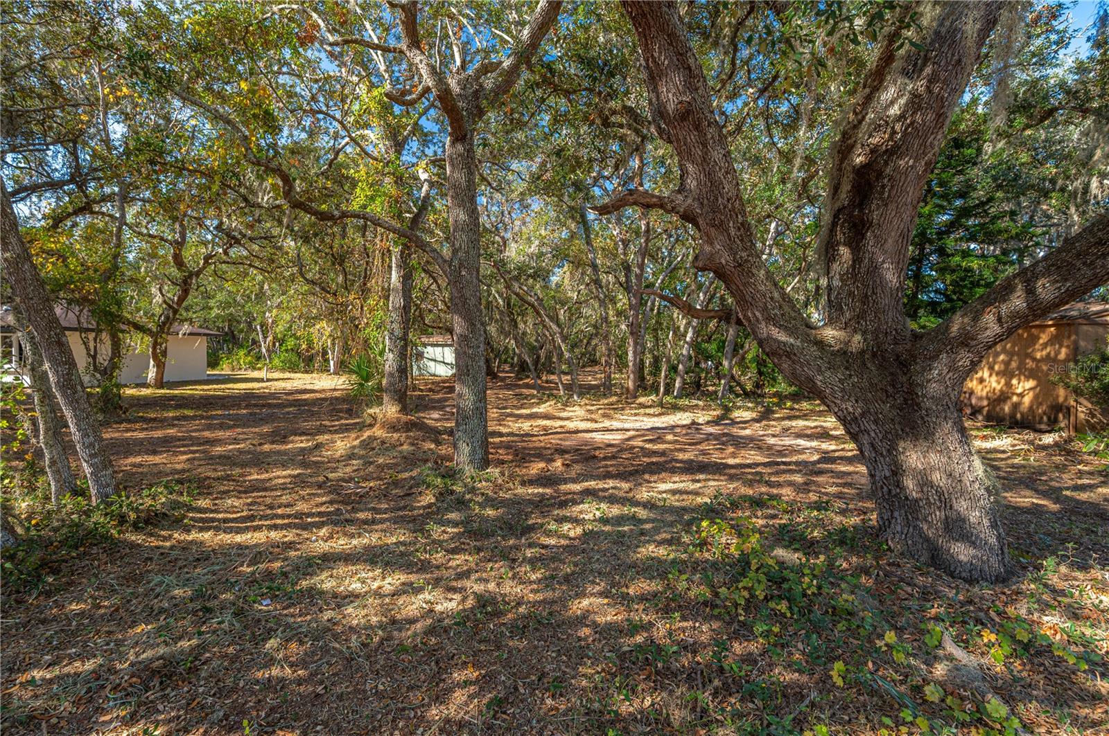 CAPPS RD