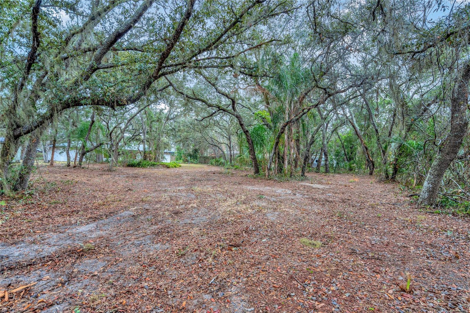 2027 CAPPS RD