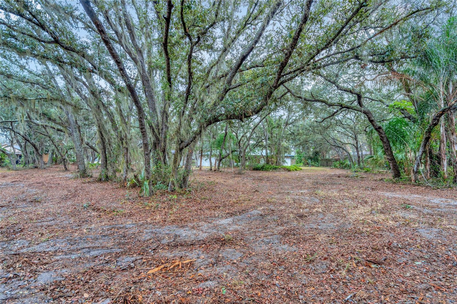 2027 CAPPS RD