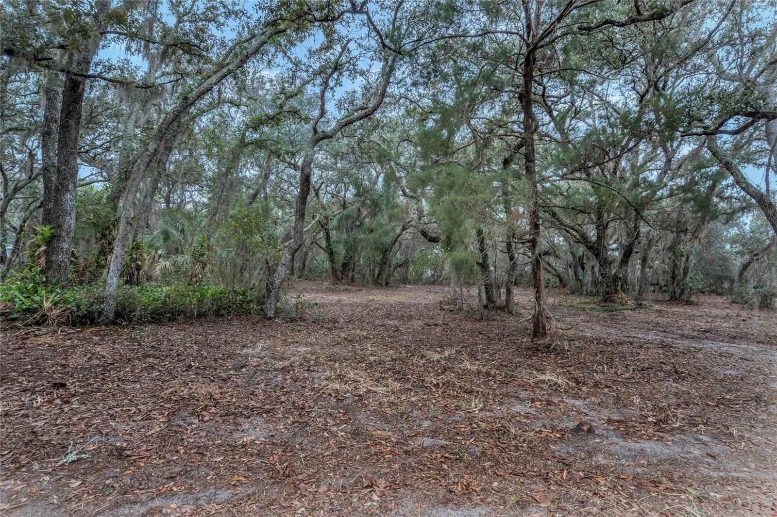 2027 CAPPS RD