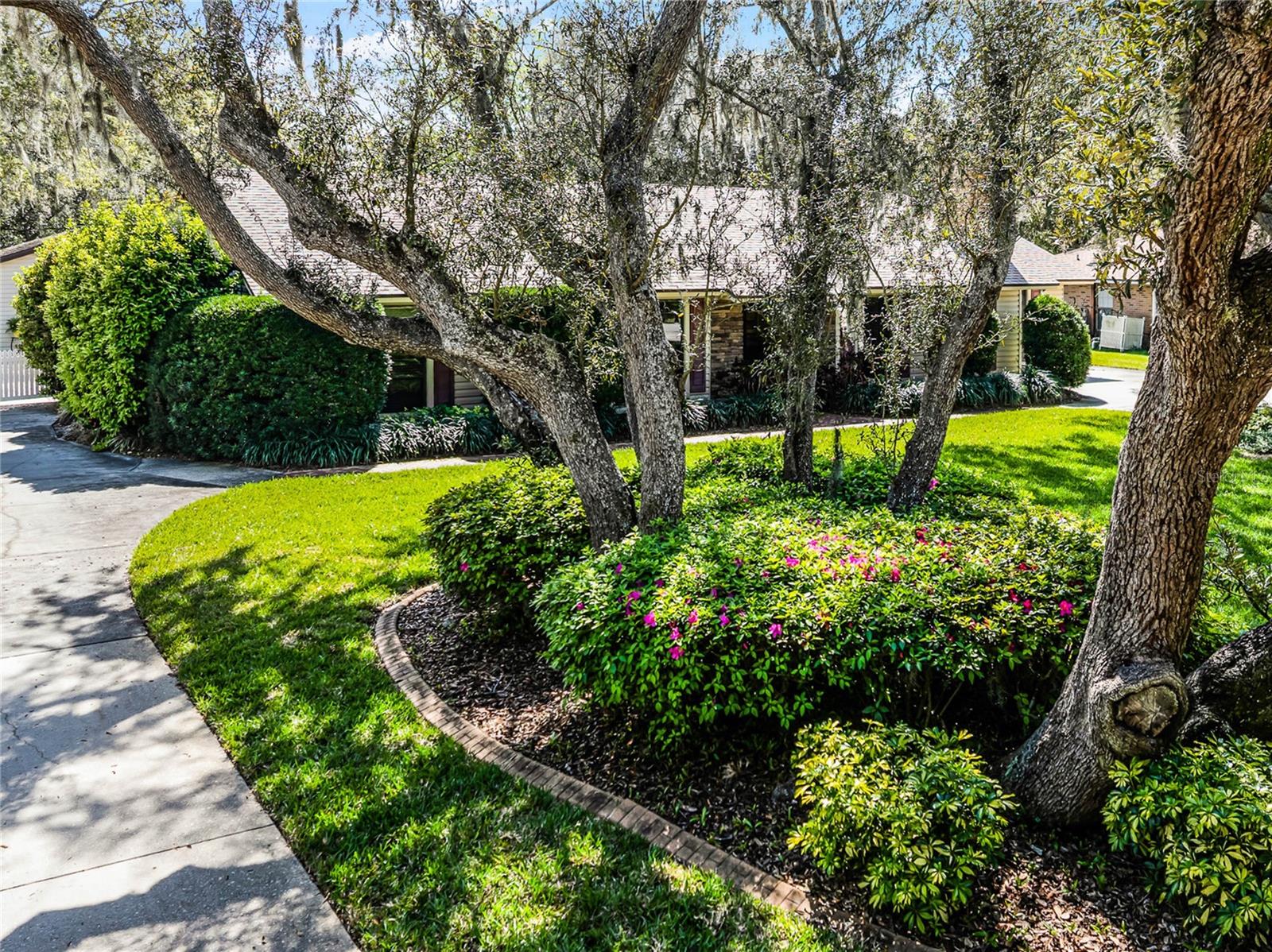 3614 TWISTED OAK CT