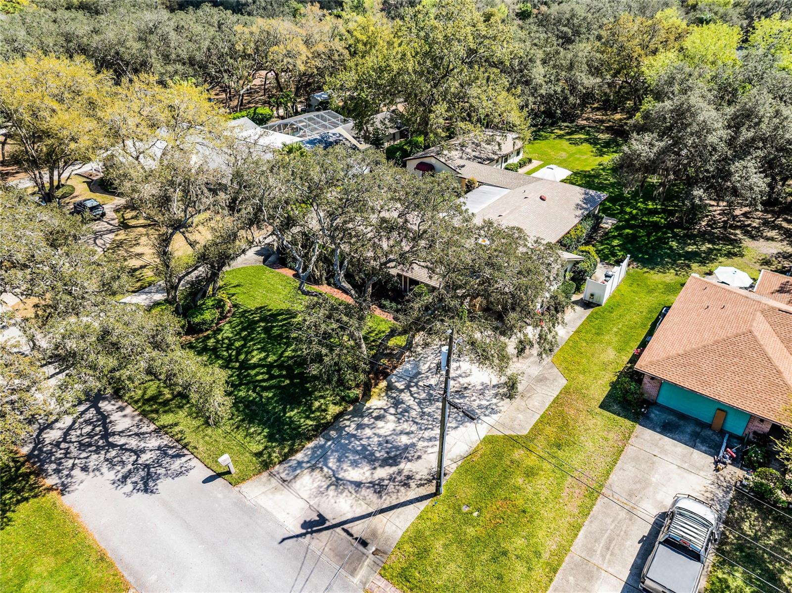 3614 TWISTED OAK CT