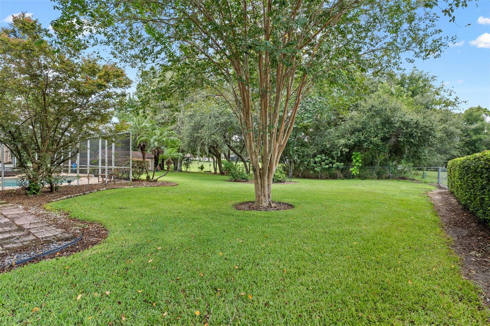 89 PINE FOREST LN