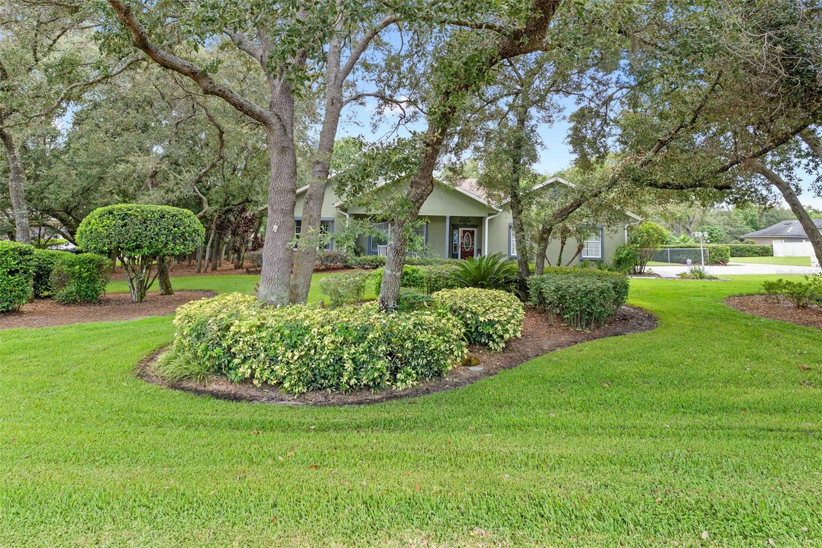 89 PINE FOREST LN