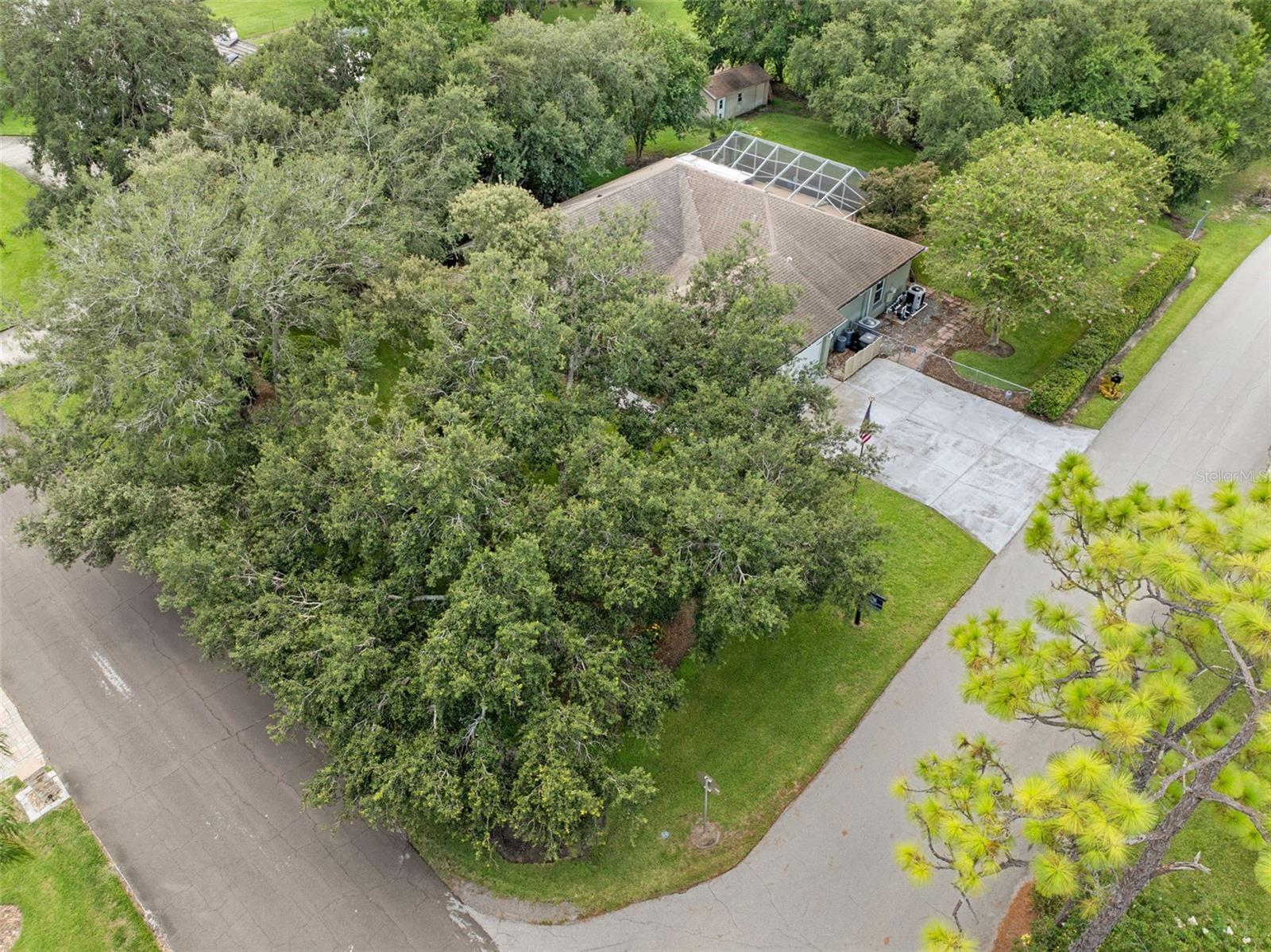89 PINE FOREST LN