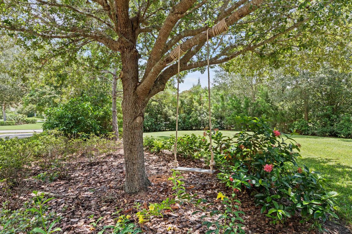 7900 Saddlebrook Drive