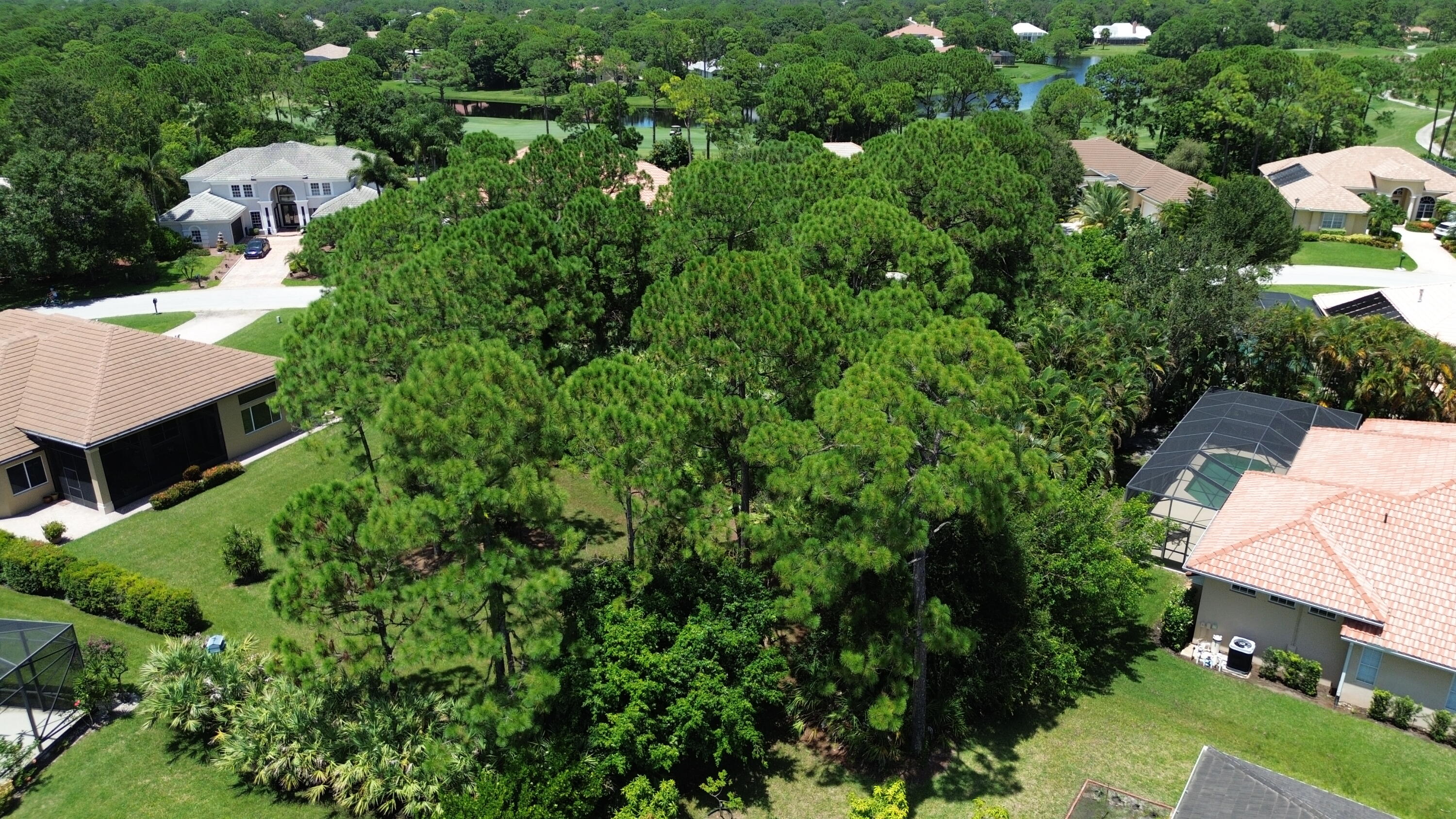 8039 Kiawah Trace