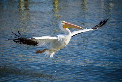 520 NW Blue Lake Drive