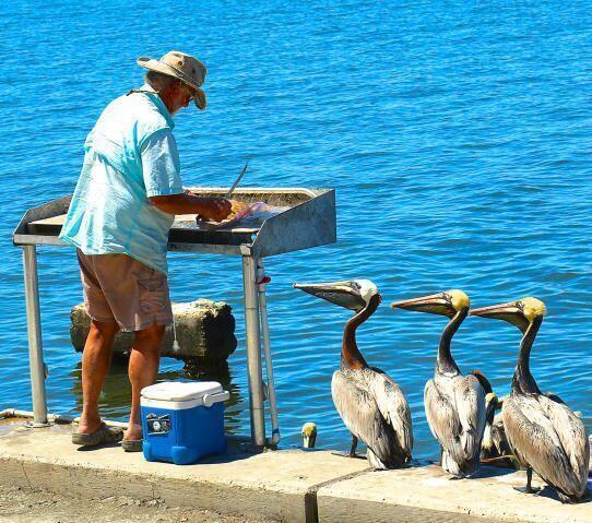 520 NW Blue Lake Drive