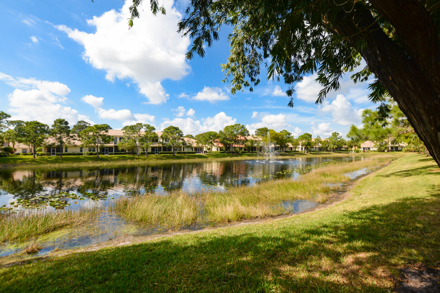 8151 Mulligan Circle