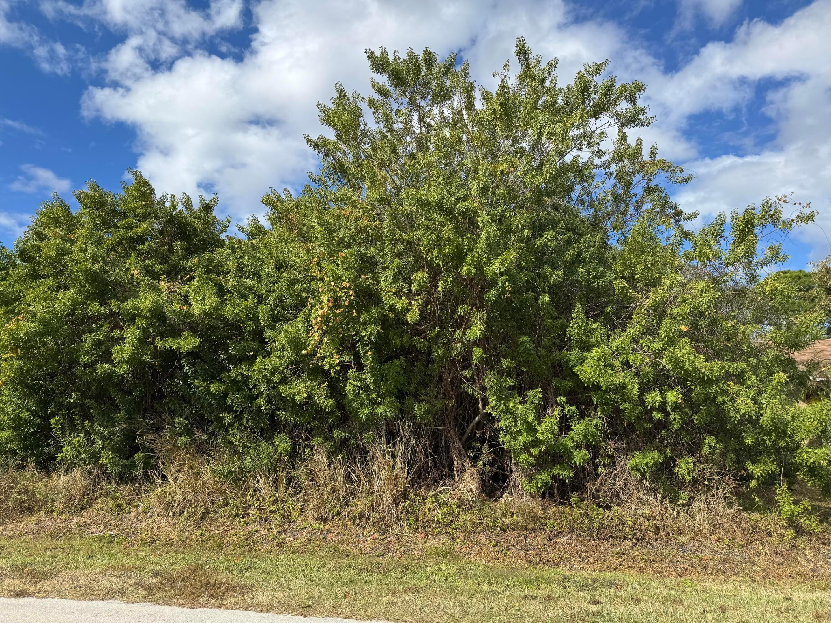 163 SW Twylite Terrace, Port St. Lucie