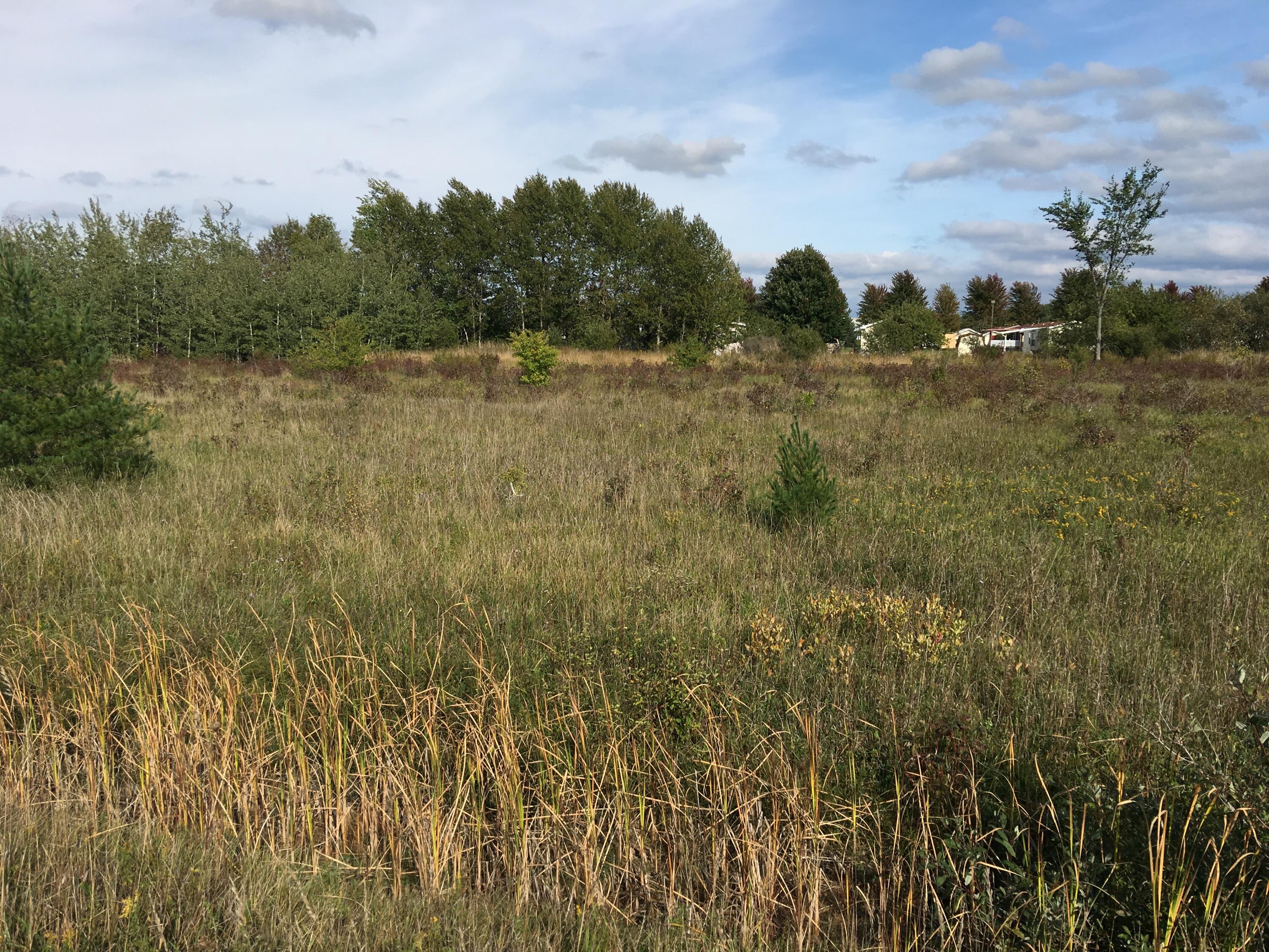 Townline Road