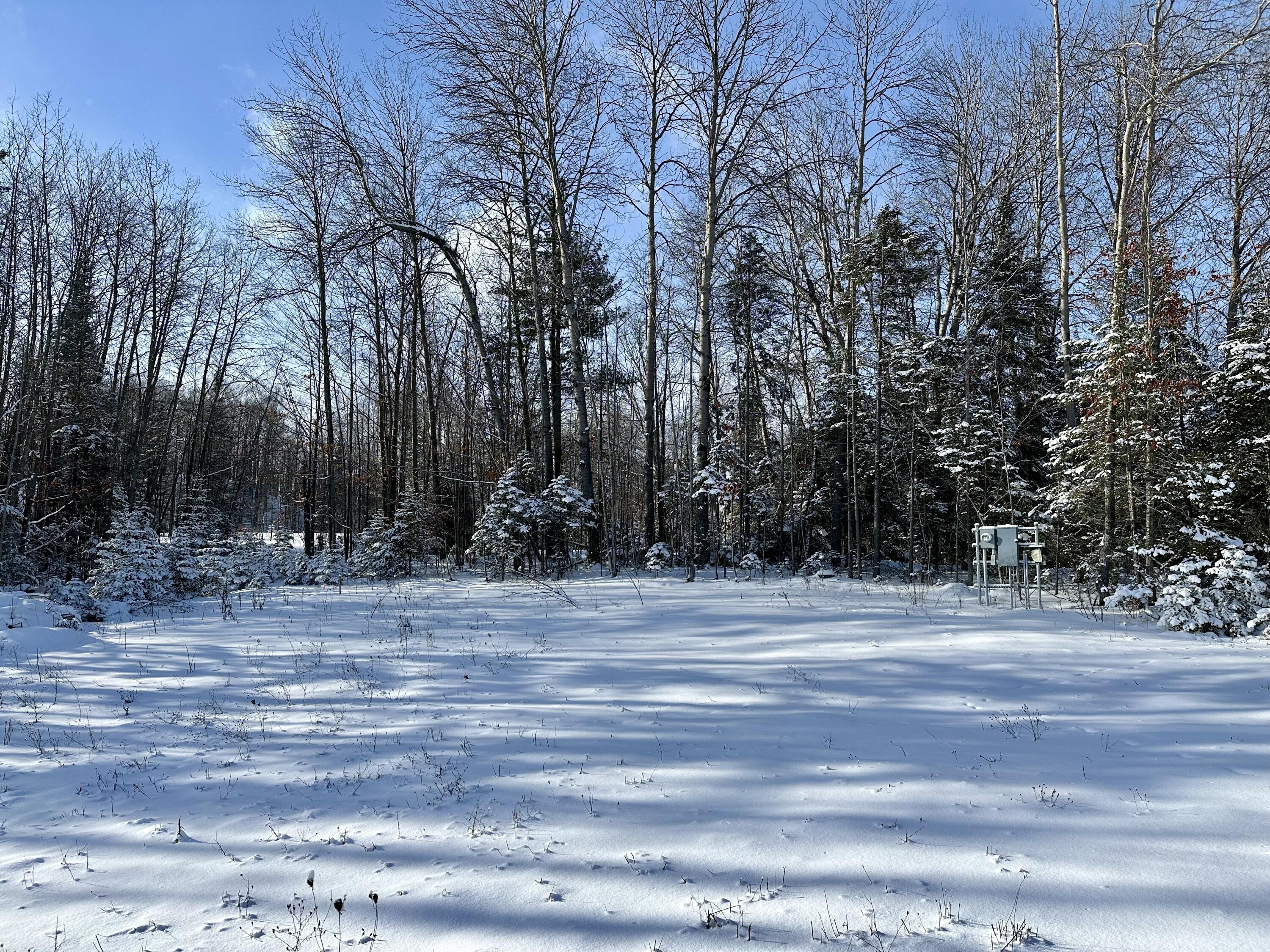 10999 Koepke Road Unit: 3.6 acres