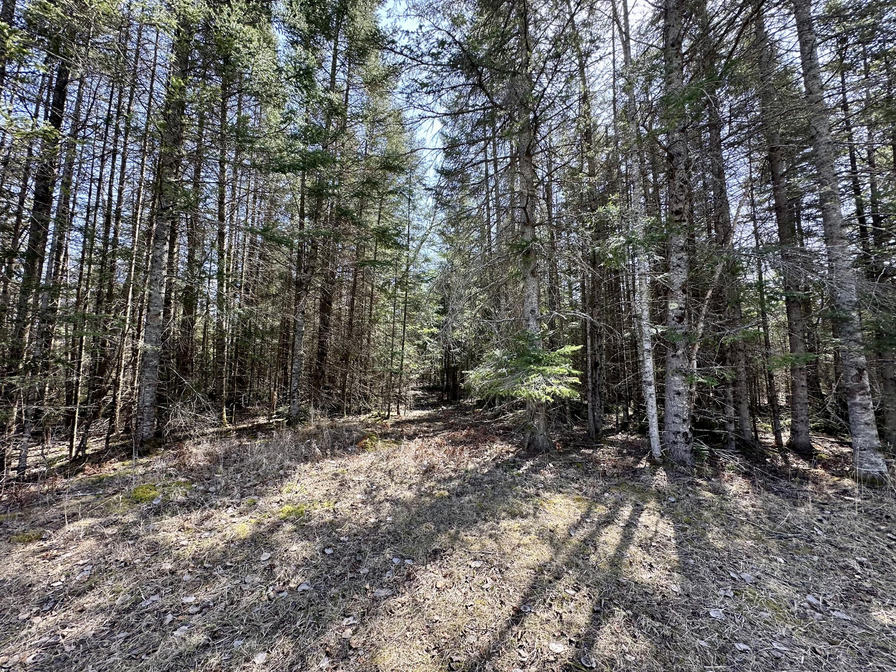 6348 Zolner Road