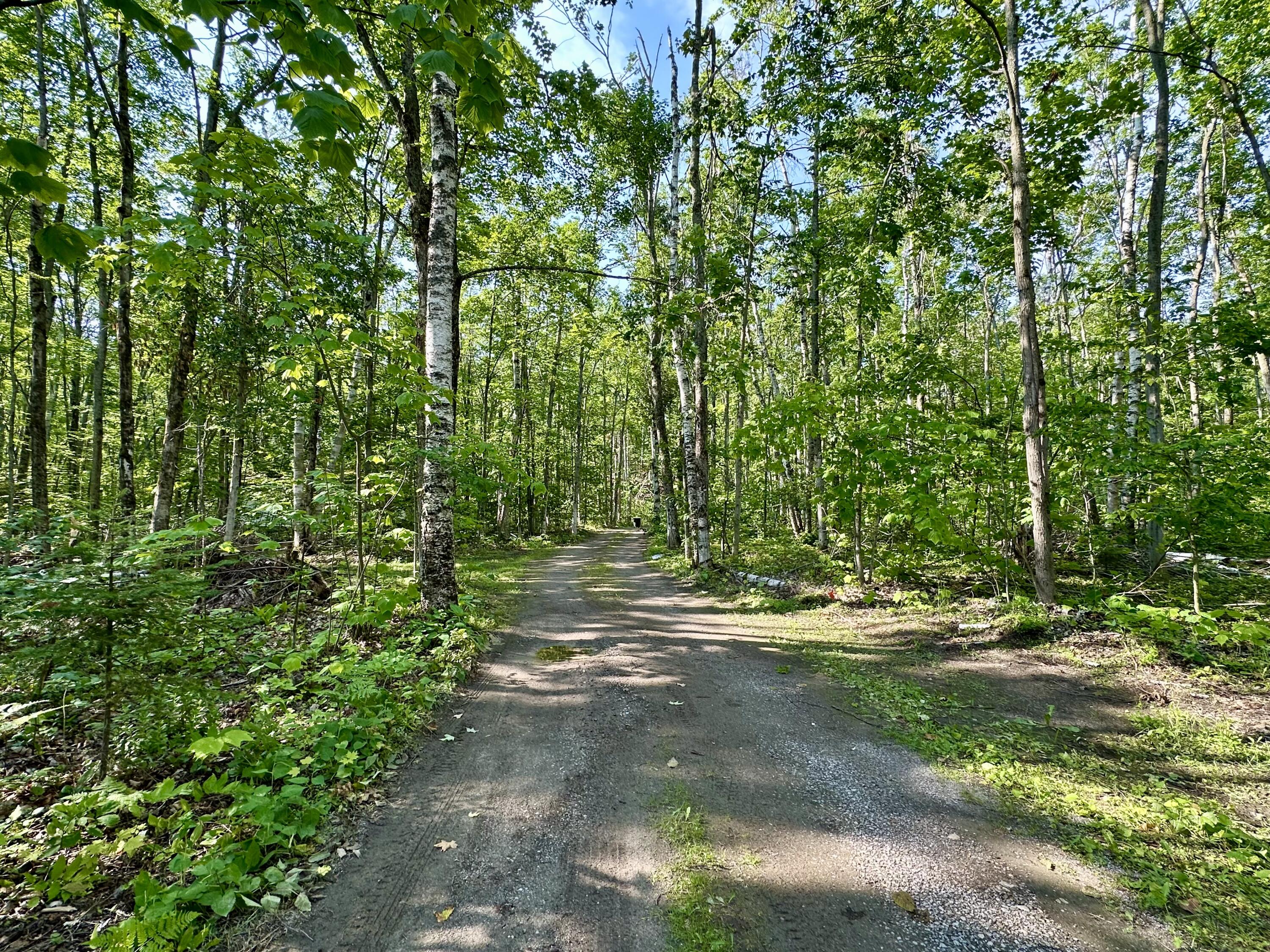 12039 Mackinaw Straits Drive