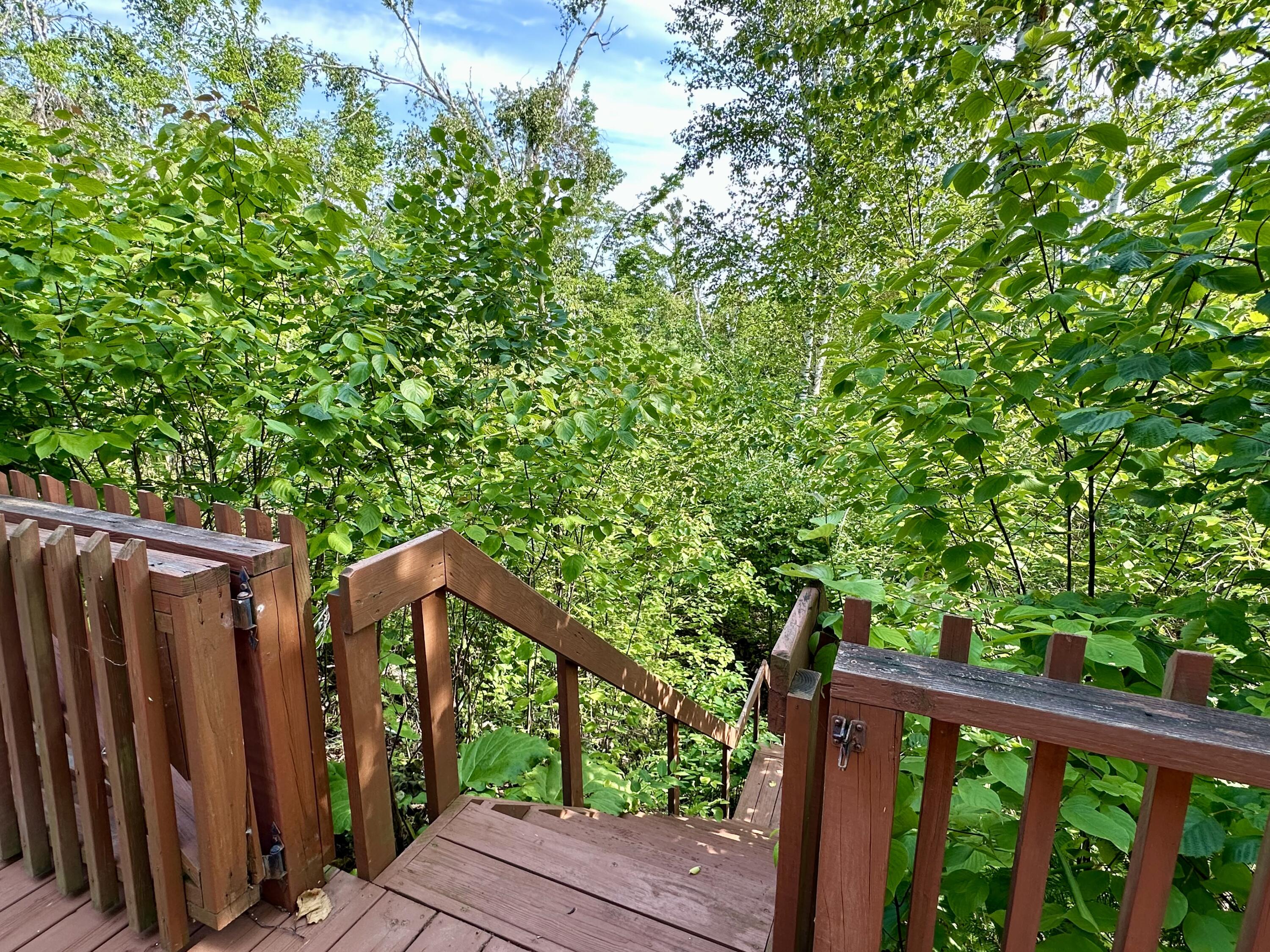 12039 Mackinaw Straits Drive